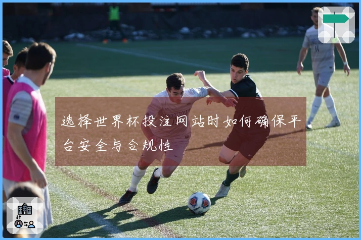 选择世界杯投注网站时如何确保平台安全与合规性