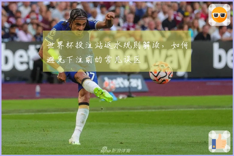 世界杯投注站返水规则解读，如何避免下注前的常见误区