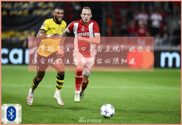 世界杯下注入口是否正规？这些合法合规的注意事项你必须知道