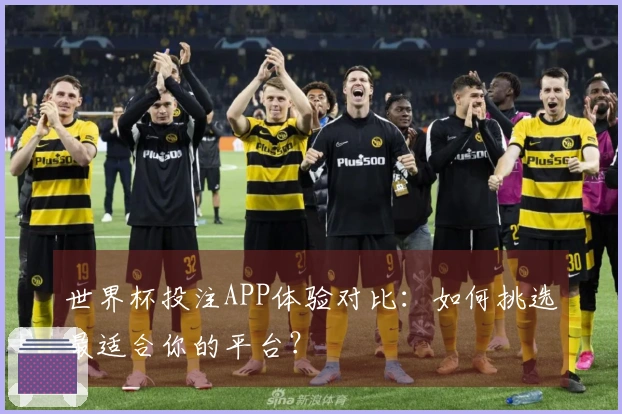 世界杯投注APP体验对比：如何挑选最适合你的平台？
