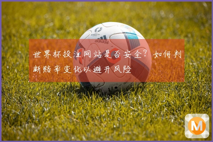 世界杯投注网站是否安全？如何判断赔率变化以避开风险