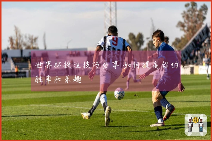 世界杯投注技巧分享 如何提高你的胜率和乐趣
