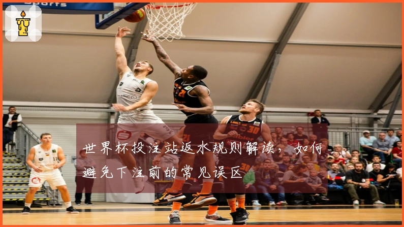世界杯投注站返水规则解读，如何避免下注前的常见误区