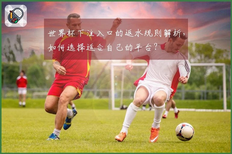 世界杯下注入口的返水规则解析，如何选择适合自己的平台？