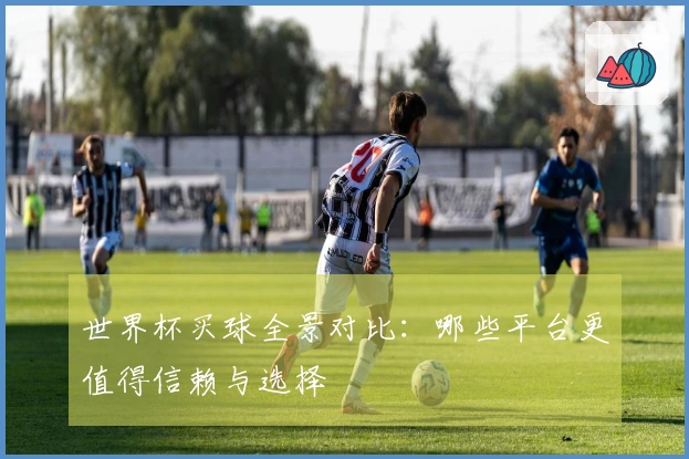 世界杯买球全景对比：哪些平台更值得信赖与选择
