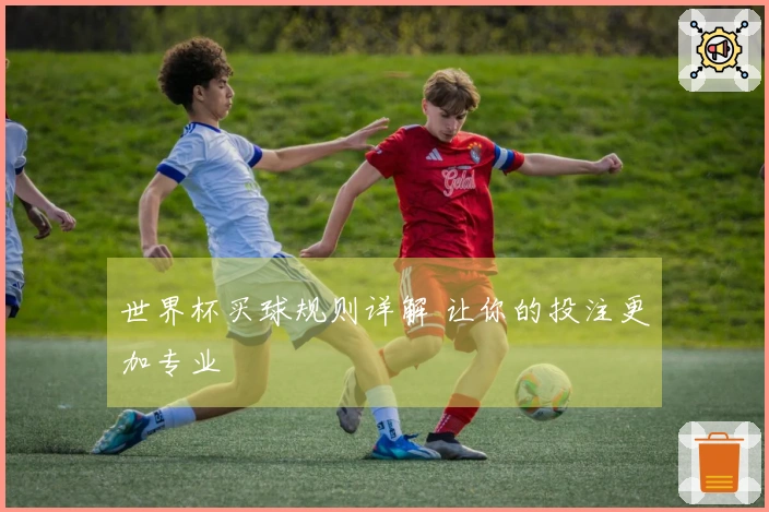 世界杯买球规则详解 让你的投注更加专业