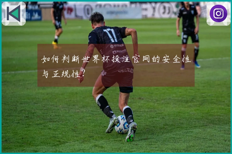 如何判断世界杯投注官网的安全性与正规性？