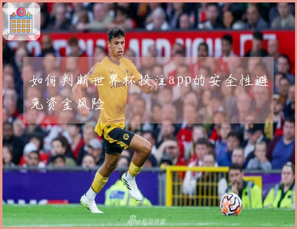 如何判断世界杯投注app的安全性避免资金风险