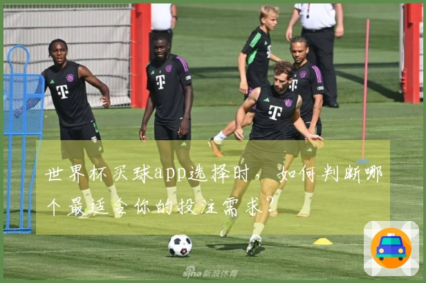 世界杯买球app选择时，如何判断哪个最适合你的投注需求？