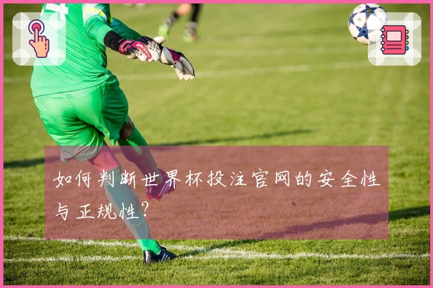 如何判断世界杯投注官网的安全性与正规性？