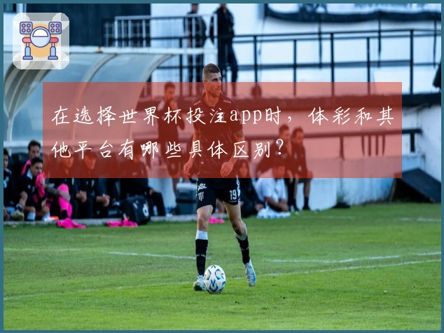 在选择世界杯投注app时，体彩和其他平台有哪些具体区别？