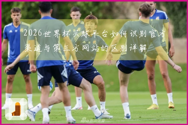 2026世界杯买球平台如何识别官方渠道与第三方网站的区别详解