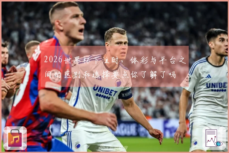 2026世界杯下注时，体彩与平台之间的区别和选择要点你了解了吗