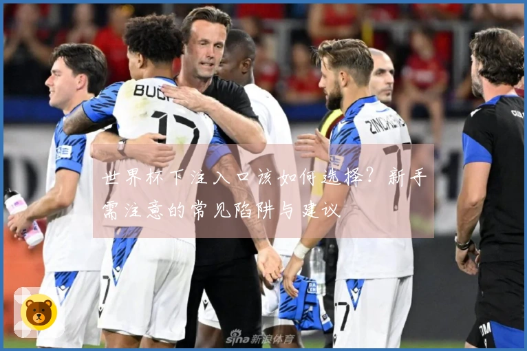 世界杯下注入口该如何选择？新手需注意的常见陷阱与建议