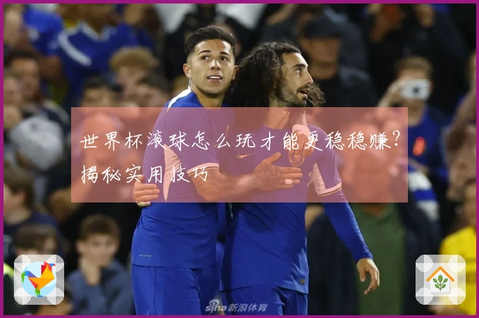 世界杯滚球怎么玩才能更稳稳赚？揭秘实用技巧