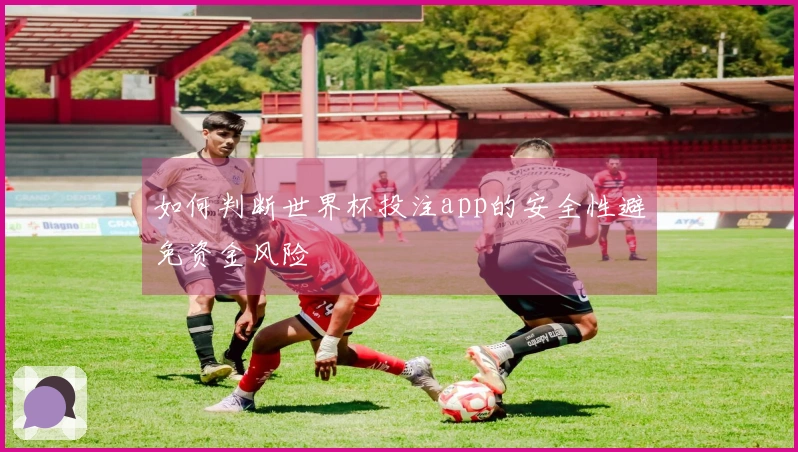 如何判断世界杯投注app的安全性避免资金风险