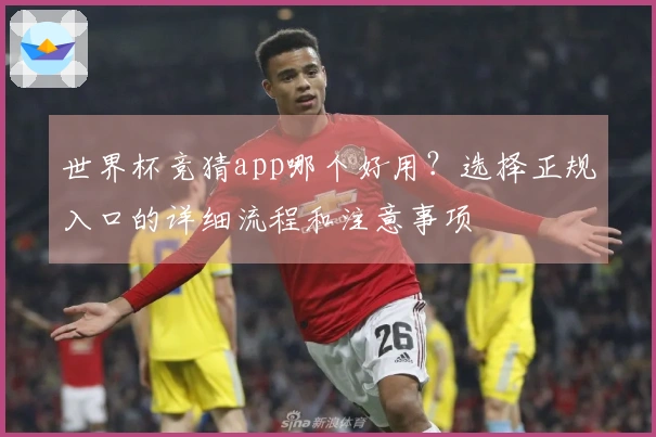 世界杯竞猜app哪个好用？选择正规入口的详细流程和注意事项