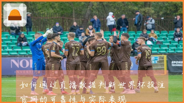 如何通过直播数据判断世界杯投注官网的可靠性与实际表现