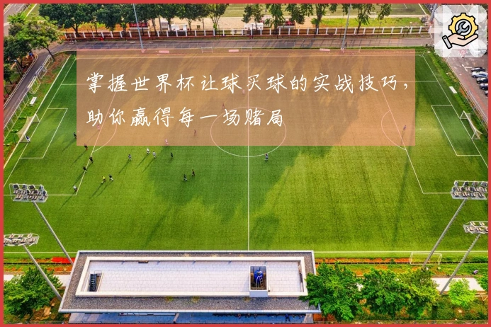 掌握世界杯让球买球的实战技巧，助你赢得每一场赌局