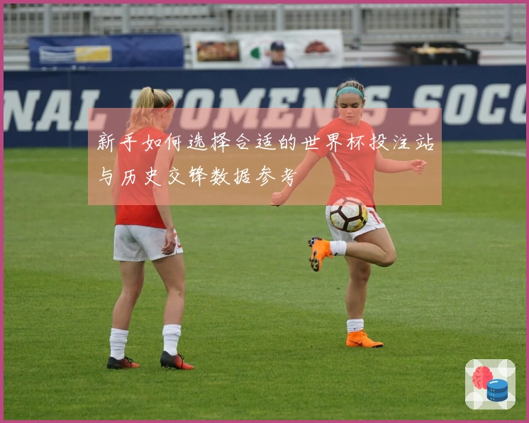 新手如何选择合适的世界杯投注站与历史交锋数据参考