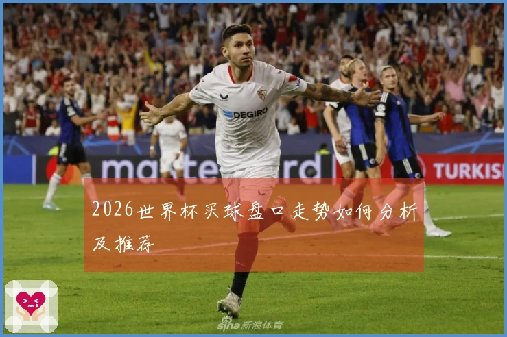 2026世界杯买球盘口走势如何分析及推荐