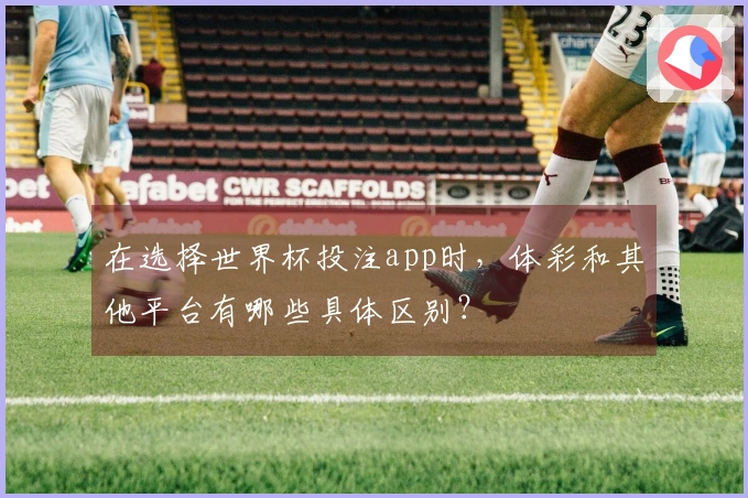 在选择世界杯投注app时，体彩和其他平台有哪些具体区别？